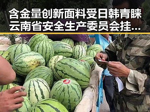含金量创新面料受日韩青睐 云南省安全生产委员会挂牌督办矿产资源盗采事件引发关注