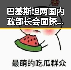巴基斯坦两国内政部长会面探讨地区局势 这些标准要知于随身行李